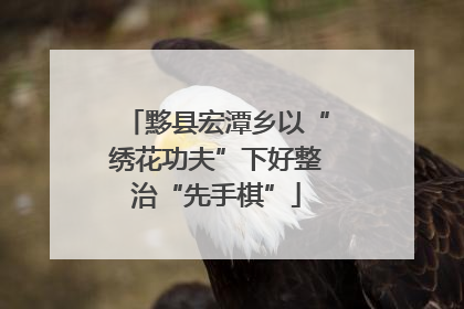黟县宏潭乡以“绣花功夫”下好整治“先手棋”